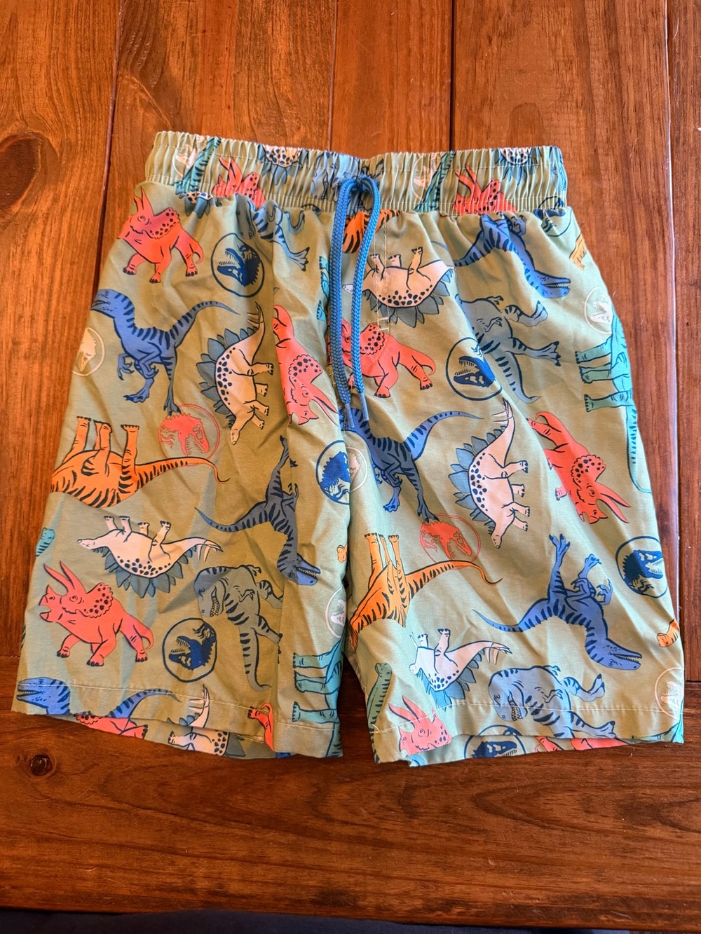 Jurassic World Kids Green Dinosaur Swim Trunks 5T